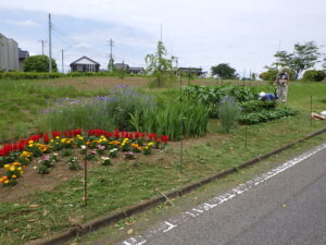 千葉市 昭和の森 自然と遊びとスポーツを楽しむ森